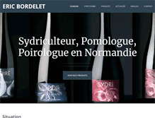 Tablet Screenshot of ericbordelet.com